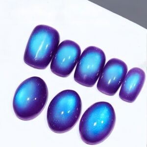 Blueberry Cat Magnetic Eye Gel Polish